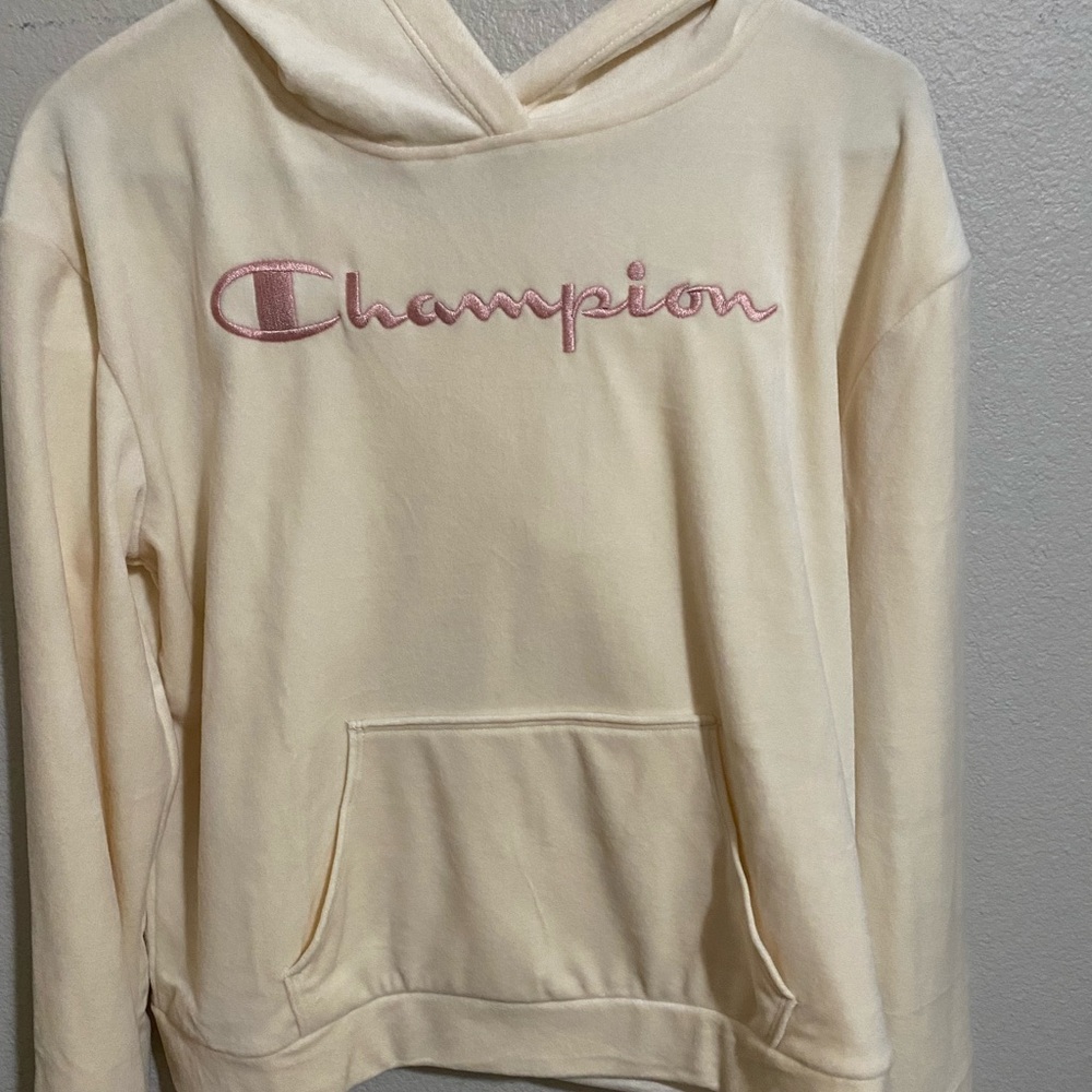champion hoodie ish